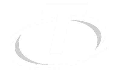 TwinFlow logo